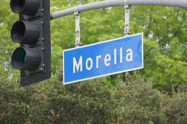 Morella.Magnolia.X.Walk.07