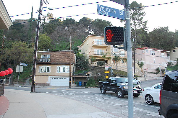 DSC 0141
