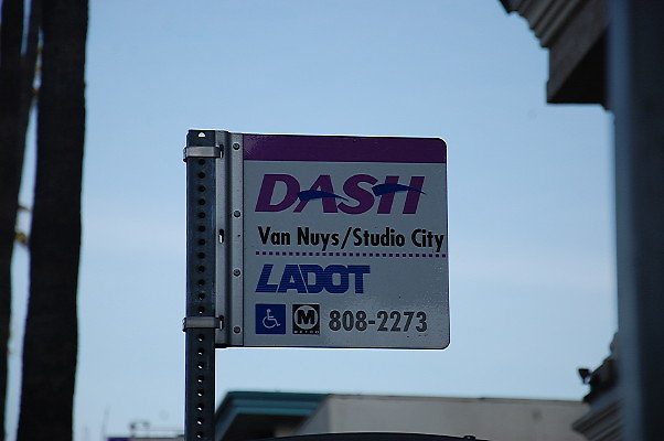 DSC 0172