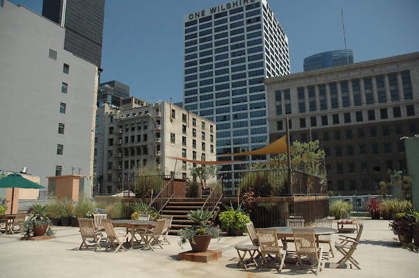 DSC 0100