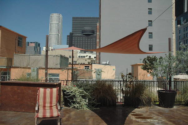 DSC 0091