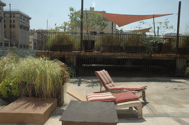 DSC 0086