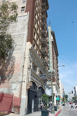DSC 0253