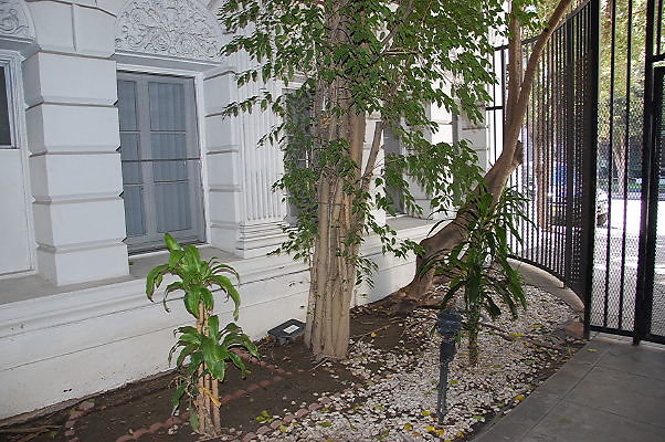 DSC 0333