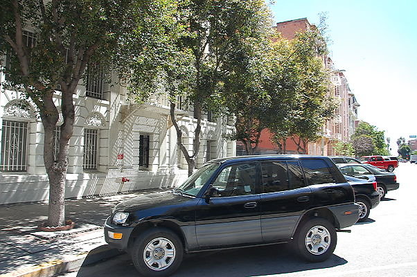 DSC 0133