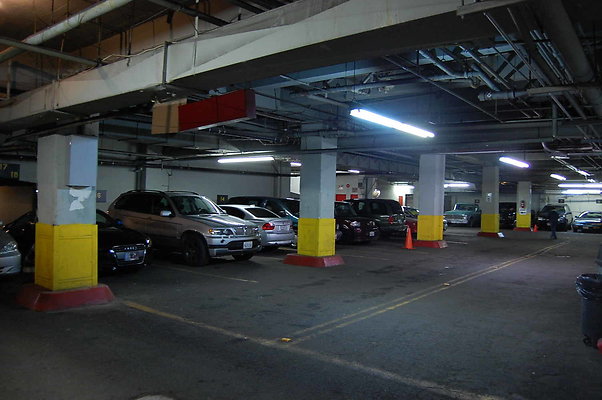 DSC 0075