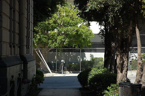 DSC 0155