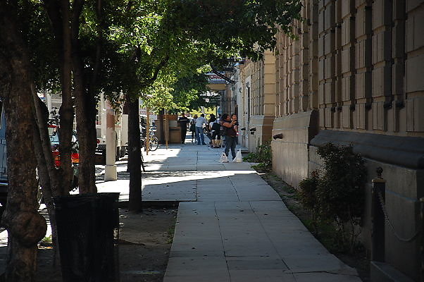 DSC 0153