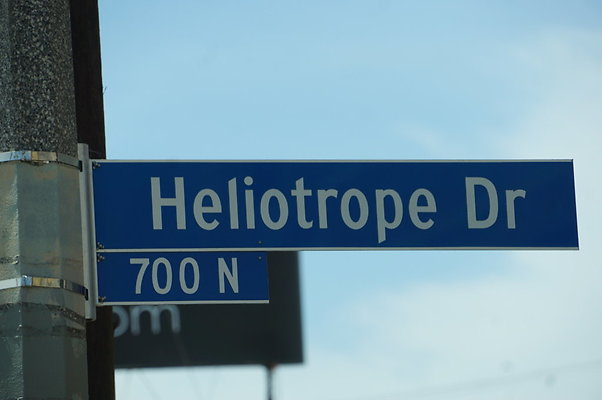 Helitrope.Melrose