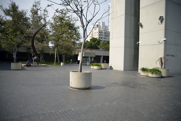 MAIN.LIBRARY.73