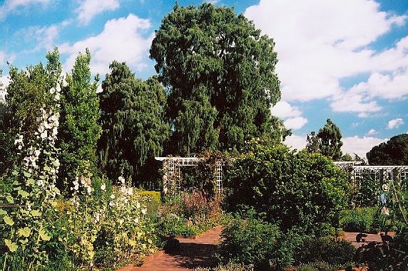 Herb Garden.H050601-29
