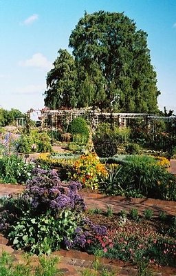 Herb Garden.H050403-29