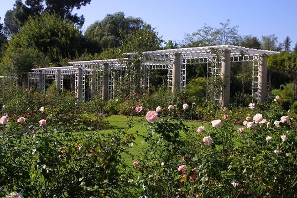The Huntington.Rose Garden