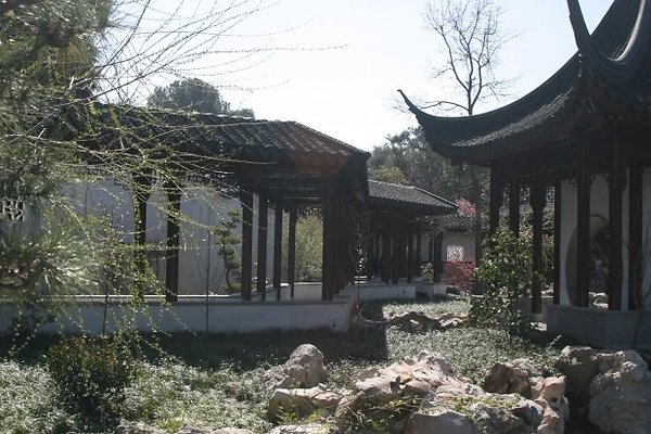 Chinese Garden.0802 3459 100