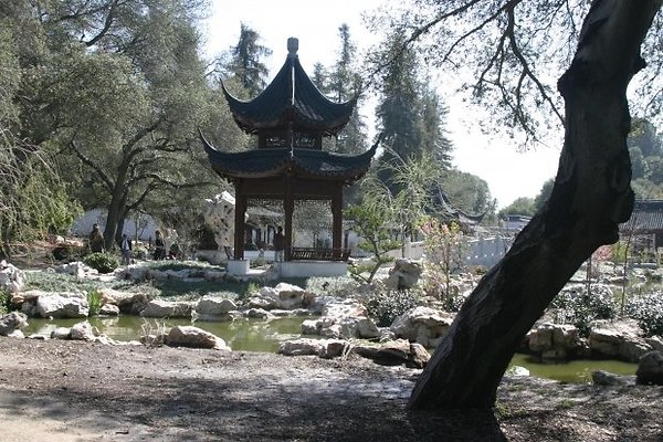 Chinese Garden.0802 3443 100