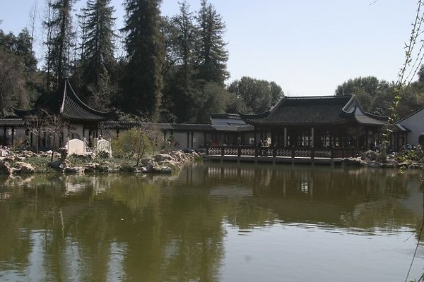 Chinese Garden.0802 3431 100