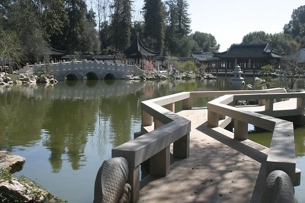 Chinese Garden.0802 3438 100