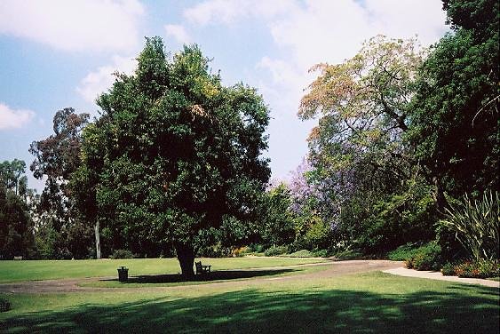 The Huntington.Australian Gardens