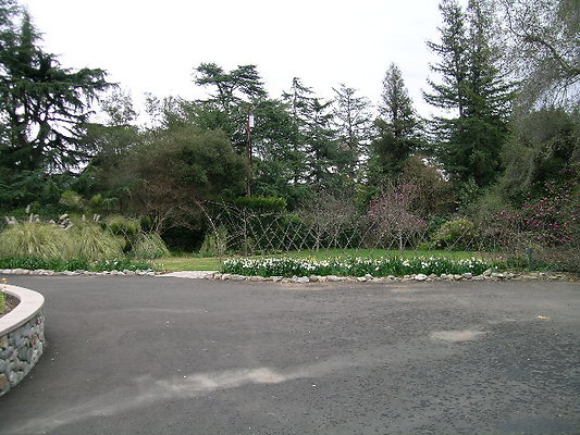 DSCN4394