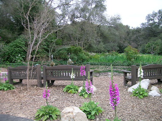 DSCN4395