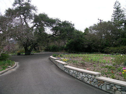 DSCN4392