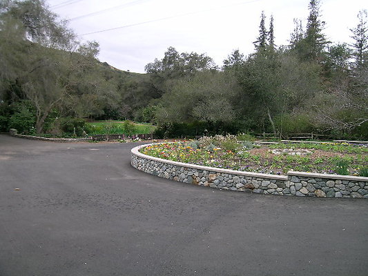 DSCN4390