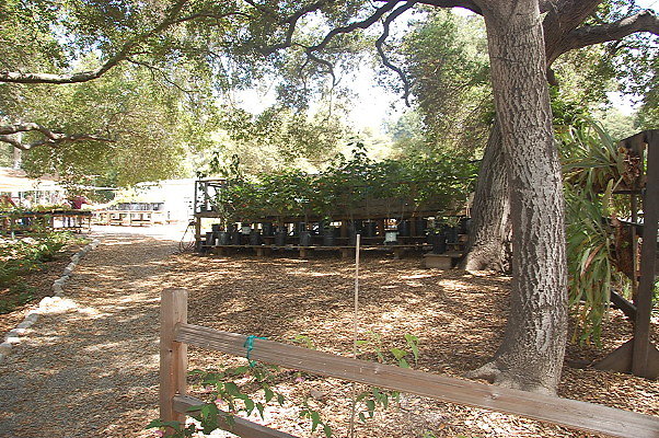DSC 0074