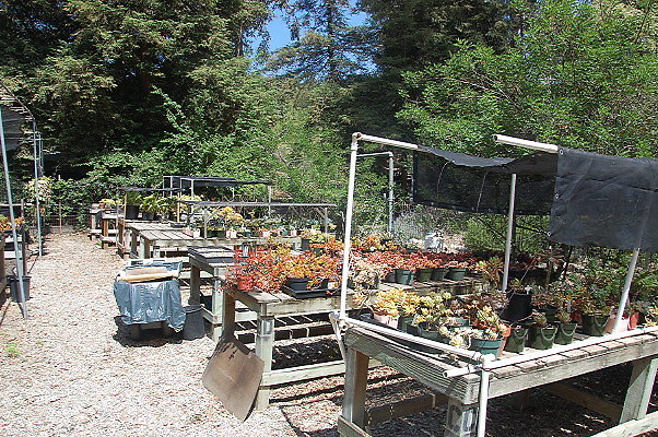 DSC 0115