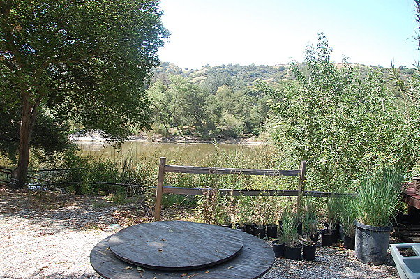 DSC 0085