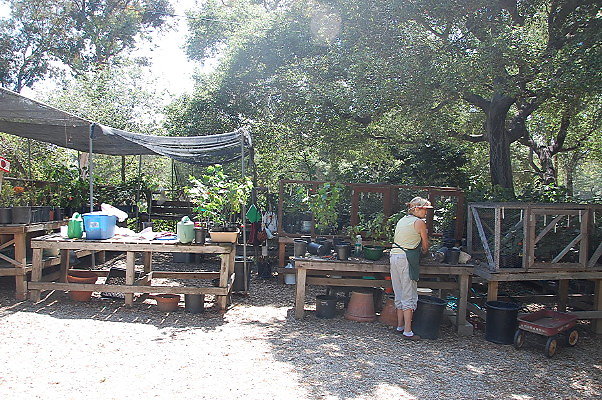 DSC 0124