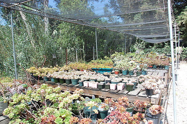 DSC 0114