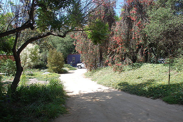 DSC 0006