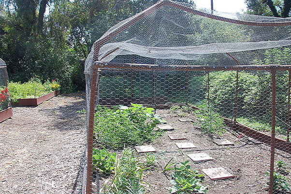 DSC 0021