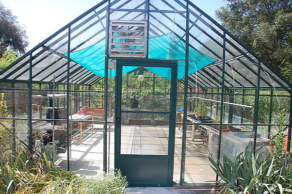 DSC 0050