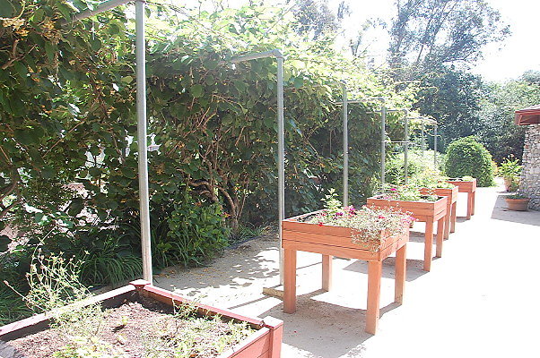 DSC 0010