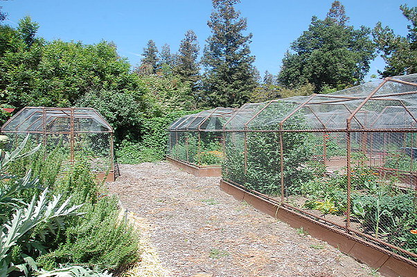 DSC 0016