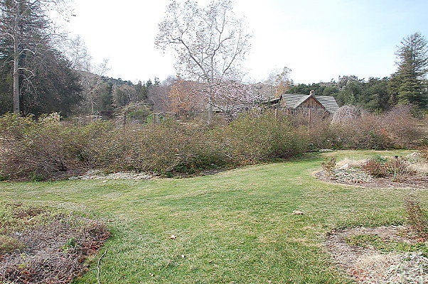 DSC 0199