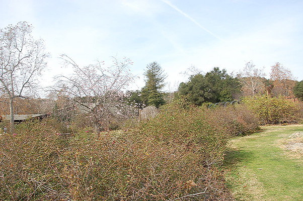 DSC 0201