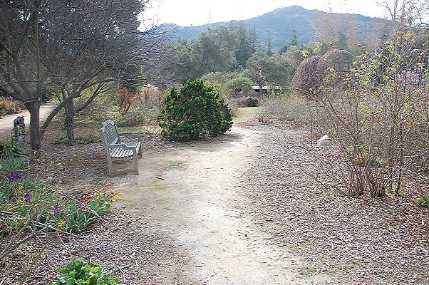 DSC 0197