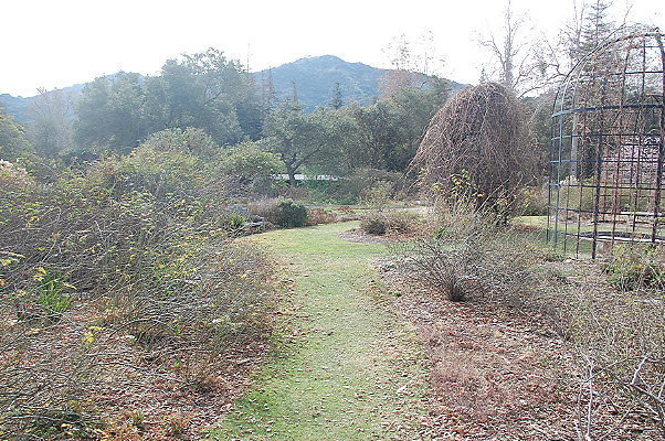 DSC 0198