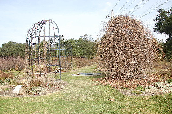 DSC 0202