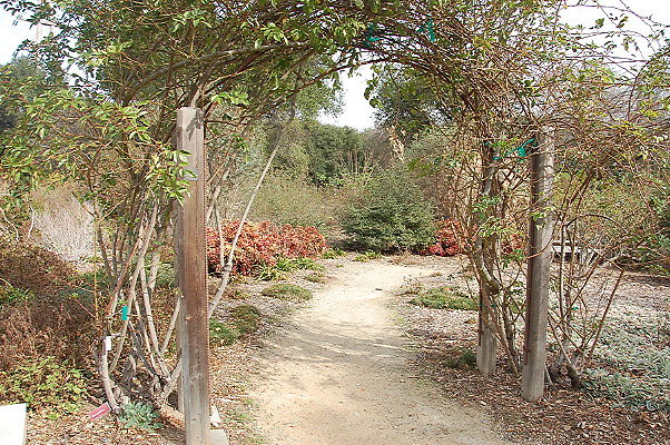 DSC 0206
