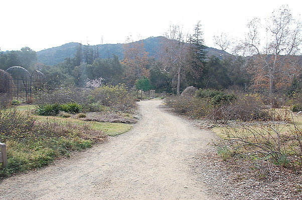 DSC 0190
