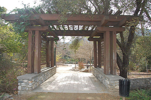 DSC 0207