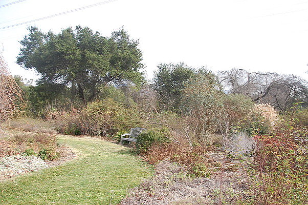 DSC 0203