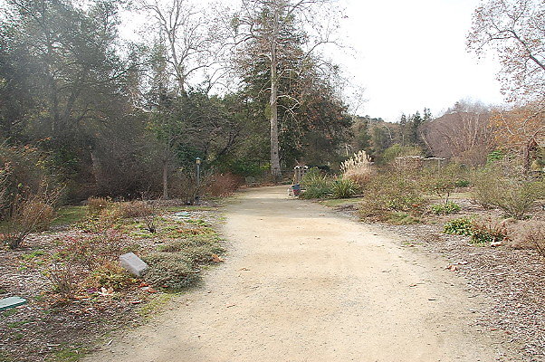 DSC 0204