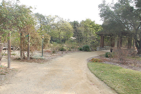 DSC 0205