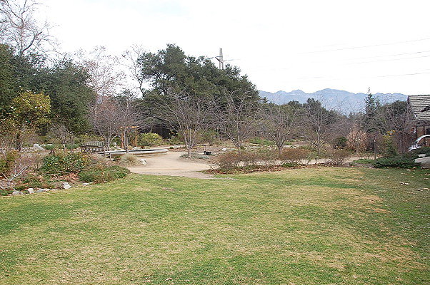 DSC 0090