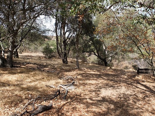 Descanso.Cali.Forest.70