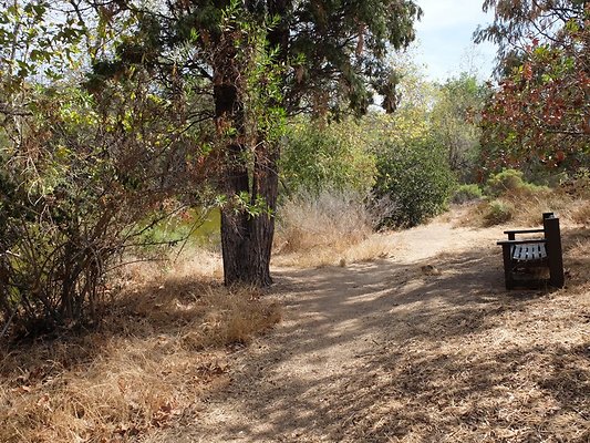 Descanso.Cali.Forest.85